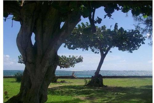 Apartamento Appartement R�sidence Corail