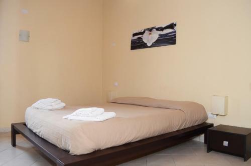 Hostal Arena Holidays Verona