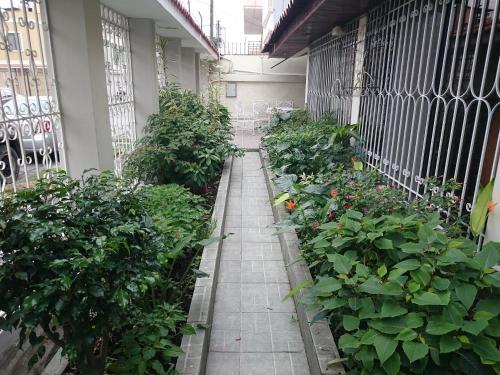 Hostal Villa Garza Inn