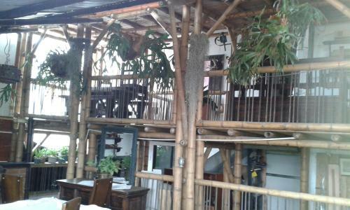 Hostal Hostel Camelot Salento