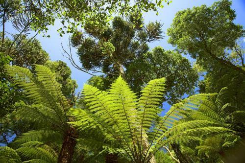 Hostal Pousada Casa De Pedra