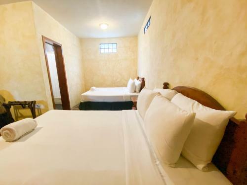 Hotel El Carmen Suites