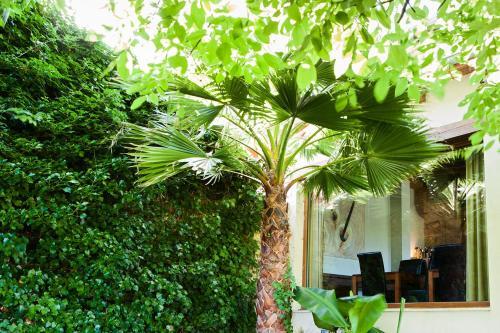 Hostal Posada Sotobosque