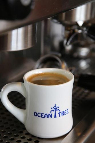 Oceantree House