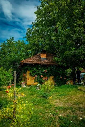 Bed And Breakfast Villa Dvor