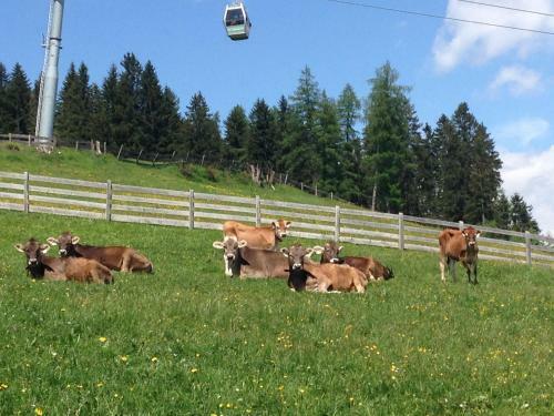 Agroturismo Nockhof