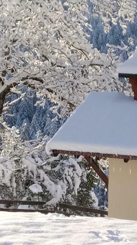 Agroturismo Nockhof
