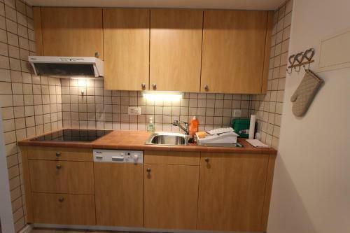Apartamento Le Castel 1