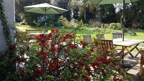 Bed & Breakfast Benslow Music