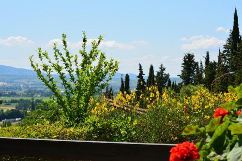B&B Il Giovine