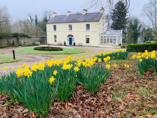 Bed & Breakfast Larchmount House