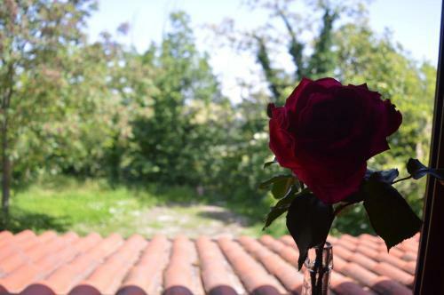 Il Dovese B&B
