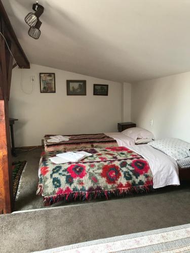 Hostal Pensiunea Iona