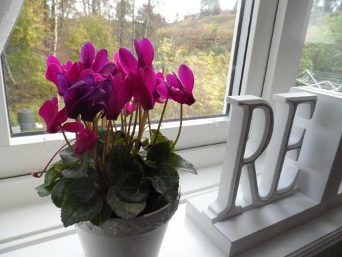 Bed & Breakfast Landvetter Bnb
