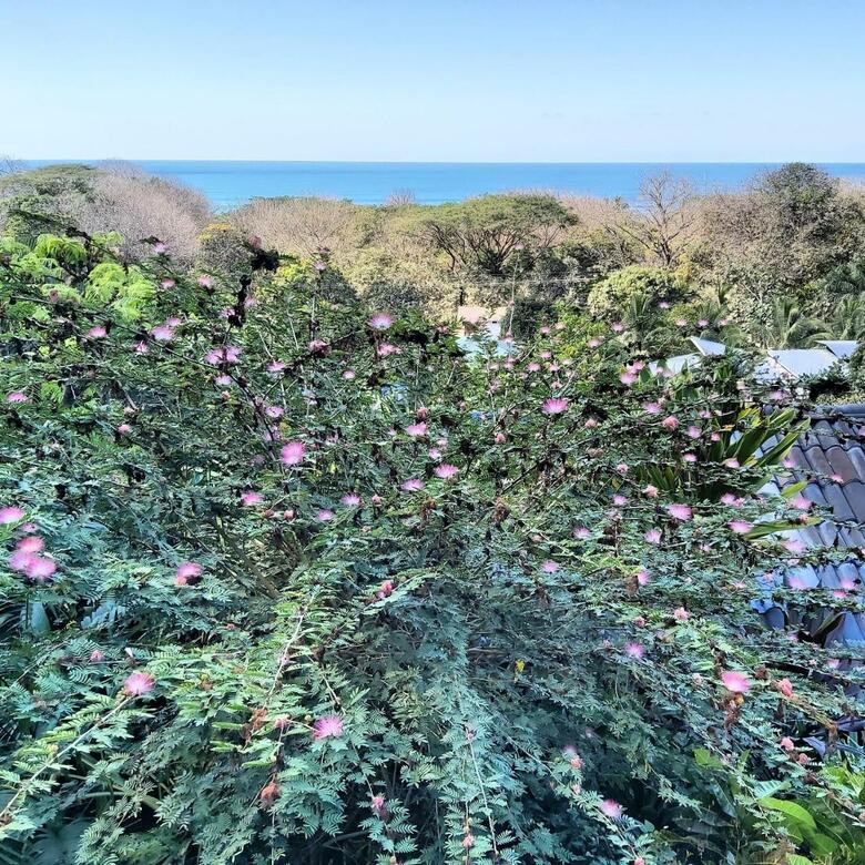 Villa Horizon Hotel & Yoga Center