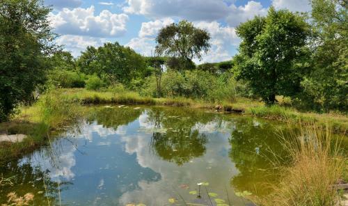 Apartamento Muchenje Campsite And Cottages