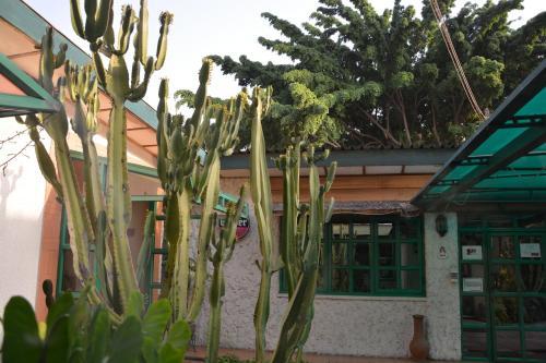 Hotel Manuela Residence