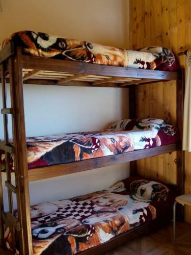Hostel Andino