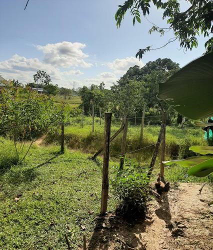 Comunidade Do Xingu Camping Side