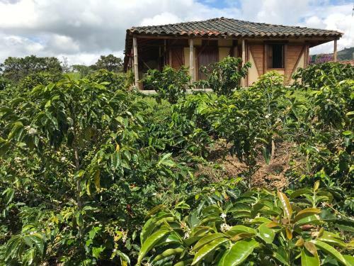 Hostal Finca El Recreo