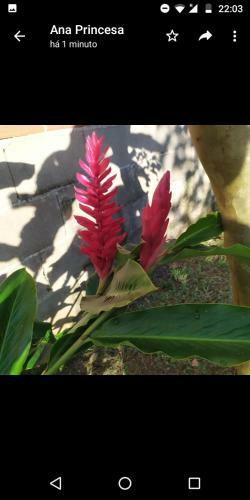 Bed & Breakfast Pouso Cantinho Dos Sabias