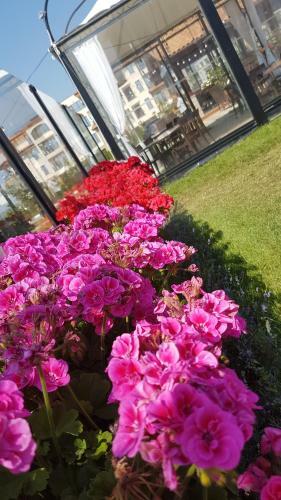 Sea Club Sarafovo Apartments