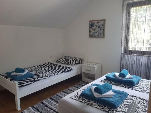 Urban Apartment & Hostel