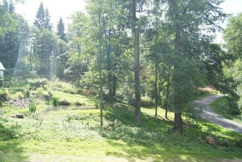 Chalet Horn� Orlice