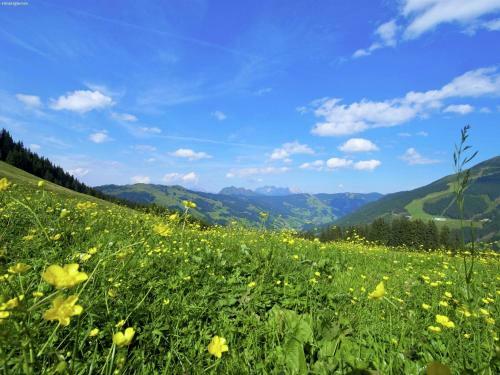 Holiday Home Vorderjausern