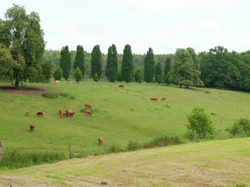 Holiday Home Hessen