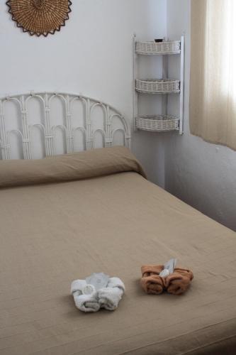 Casa Del Maestro