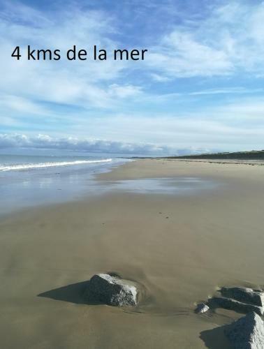 Bed & Breakfast Apparthotel - Le Downtown 1 � 6 Personnes
