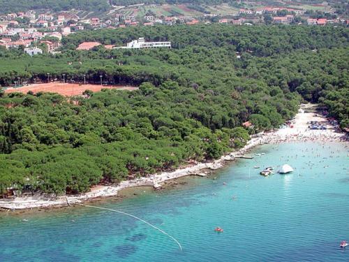 Apartment Apartment Biograd