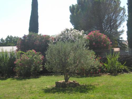 Bed & Breakfast Mas Du Puits