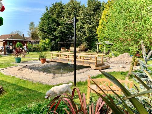 Woodpaddock Bed & Breakfast