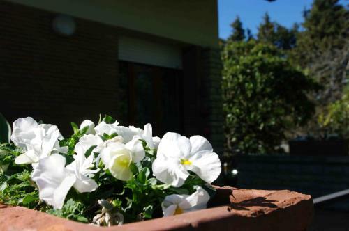 B&B Tre Conigli Sul Com�