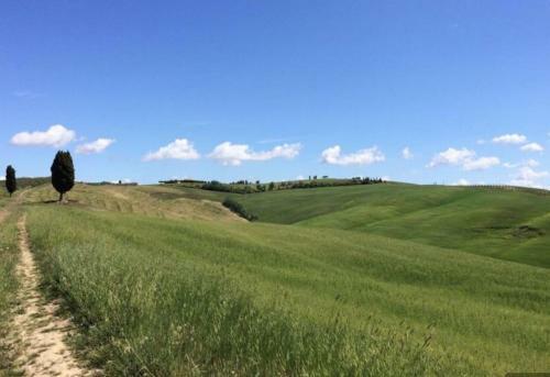 Hotel Cordella In Montalcino Wine Resort