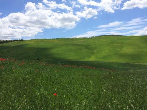 Hotel Cordella In Montalcino Wine Resort