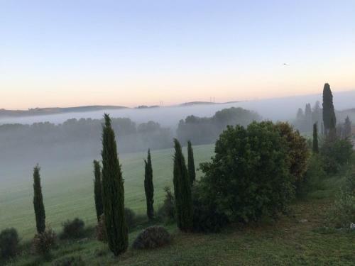 Hotel Cordella In Montalcino Wine Resort