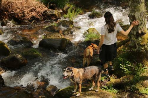 Agroturismo Douro Senses - Village House