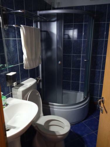 Hostal Pensiunea Vladut Timisoara