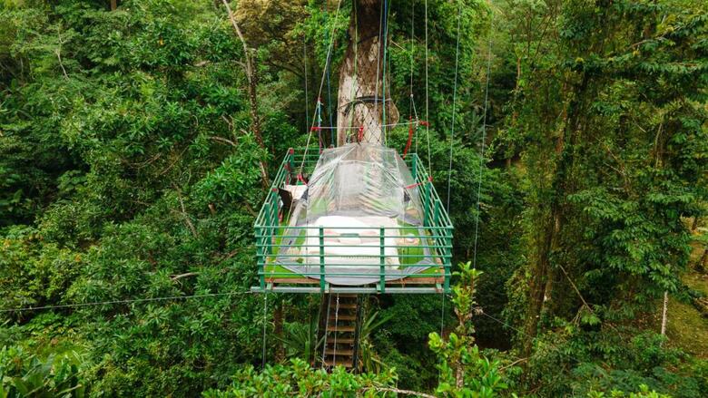 Jungle Green House