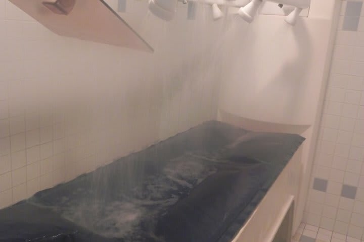 Hotel Ibis Sete Balaruc Les Bains