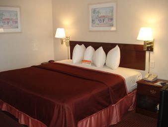 Hotel Howard Johnson - Tampa Airport