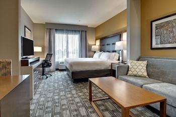 Holiday Inn Express Hotel & Suites Albany