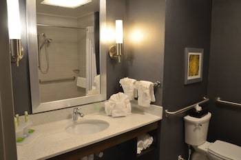 Holiday Inn Express Hotel & Suites Albany