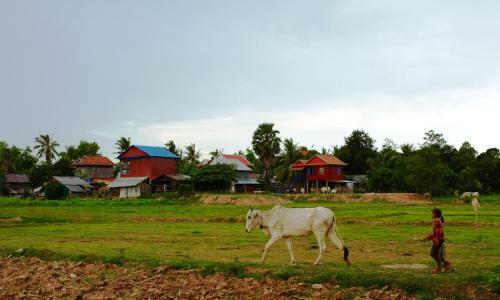 Hostal Red House