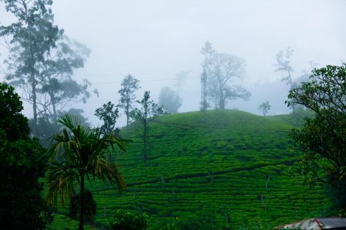 Bed & Breakfast Ella Nature Resort