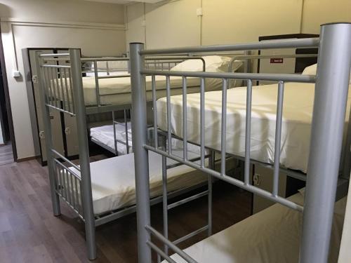 Albergue Adamson Lodge