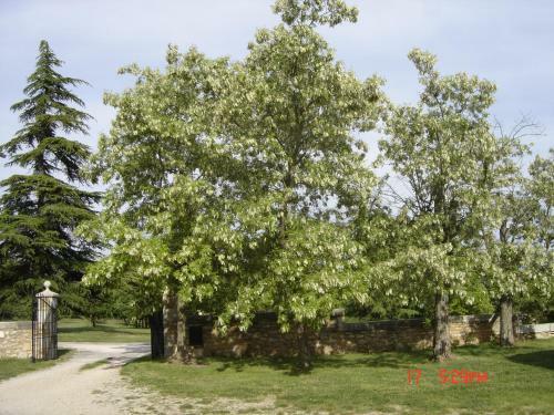 Domaine Notre Dame
